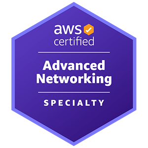AWS認定アドバンスドネットワーキング-スペシャリティ